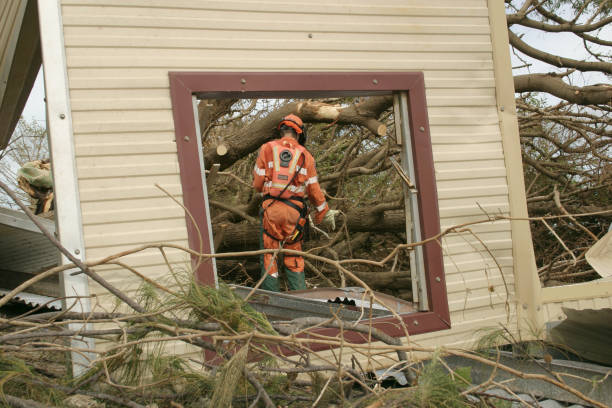 Best Arborist Consultation Services  in Braddock, VA